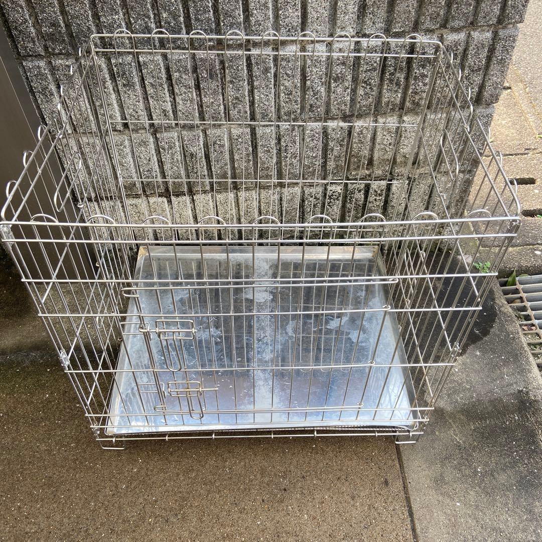 ターコイズブルー