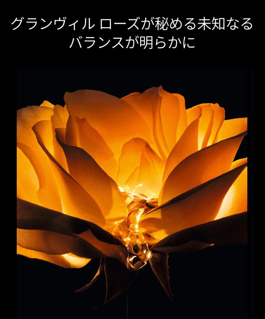 〖3mL×3〗ディオール プレステージ 最高峰 ユイルネクターアンテグラール