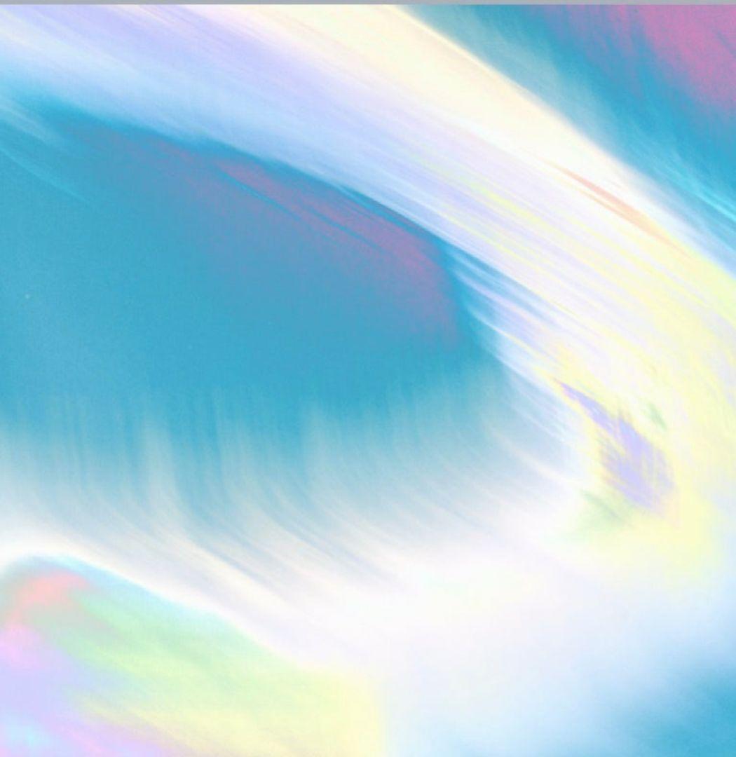 シャンタンアート 「鳳凰」