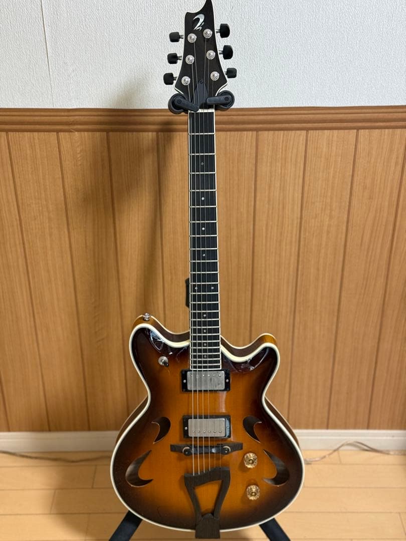T’s guitars Arc Hollow Jazz
