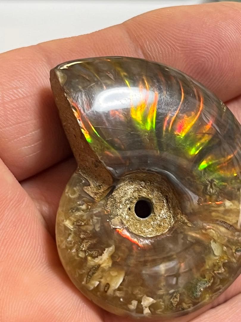 カナダ・アルバータ州産オパール化アンモナイト　ファイヤーアンモナイト約30.6g