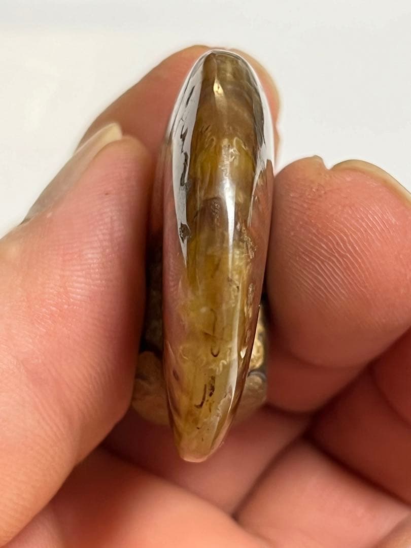 カナダ・アルバータ州産オパール化アンモナイト　ファイヤーアンモナイト約30.6g