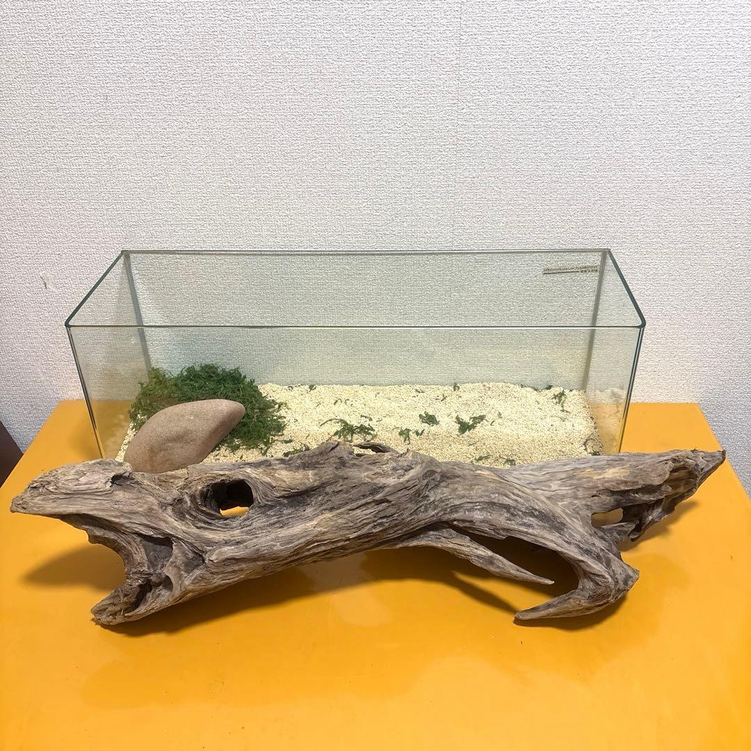 Ｇ67 流木　爬虫類　両生類シェルター　バスキング　観葉植物　インテリア　その他