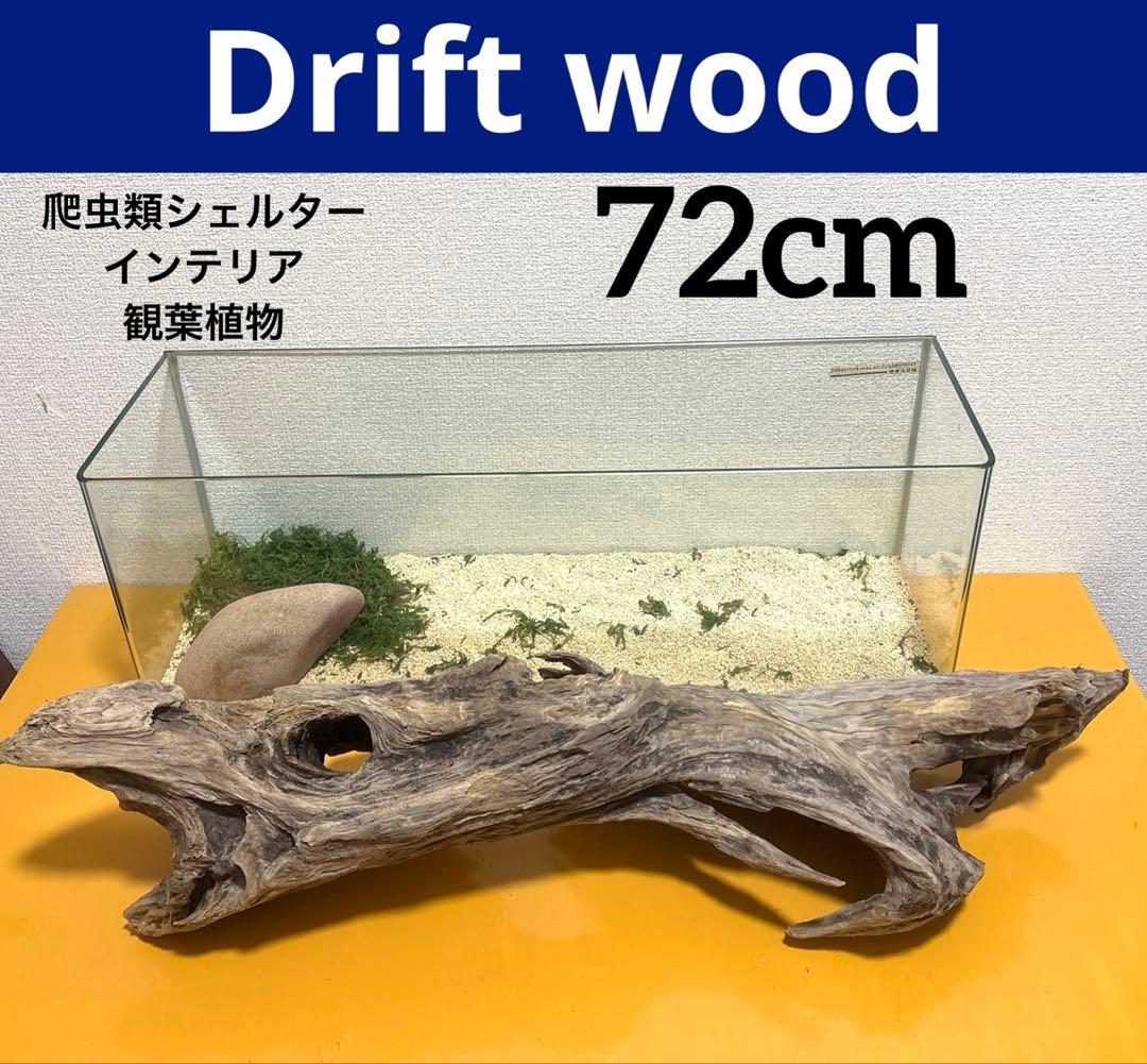 Ｇ67 流木　爬虫類　両生類シェルター　バスキング　観葉植物　インテリア　その他