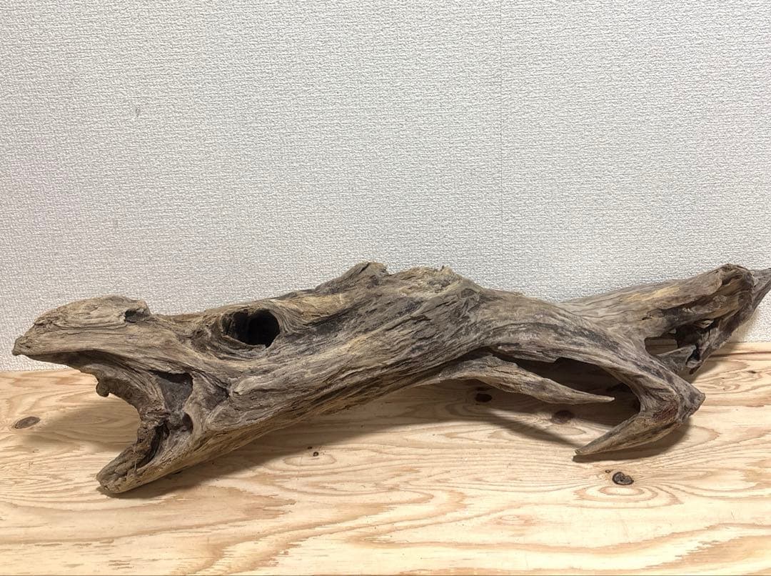 Ｇ67 流木　爬虫類　両生類シェルター　バスキング　観葉植物　インテリア　その他