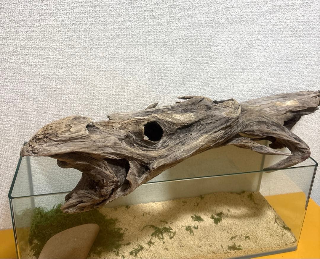 Ｇ67 流木　爬虫類　両生類シェルター　バスキング　観葉植物　インテリア　その他