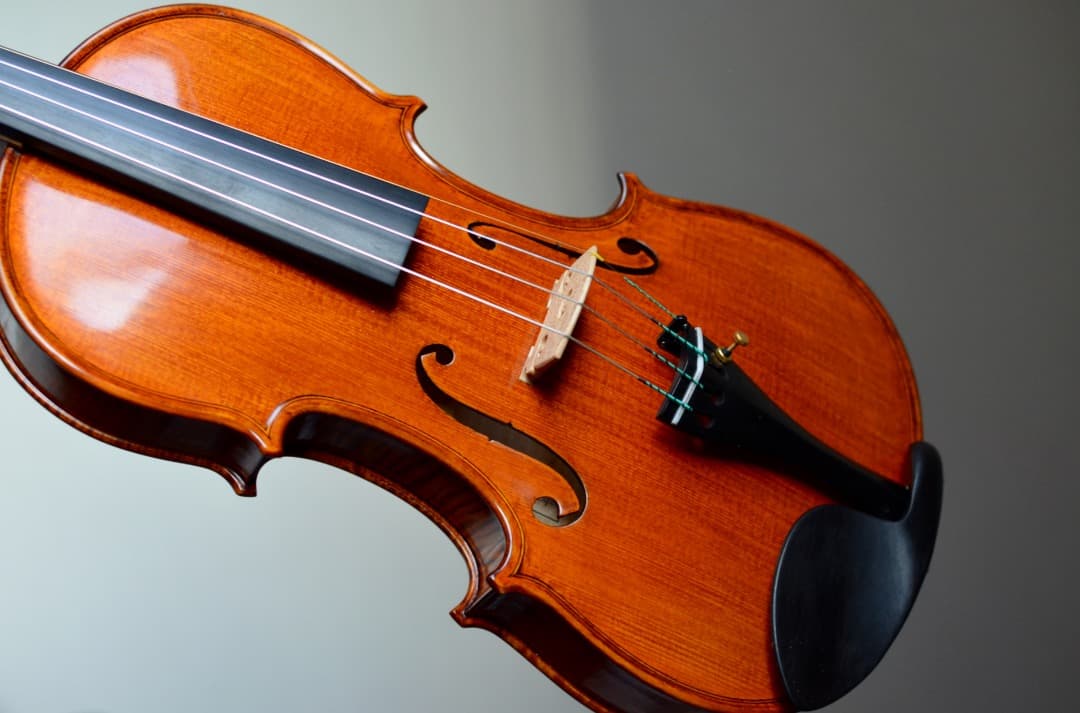 【最上位 新品】Gliga Vasile Maestro バイオリン 4/4