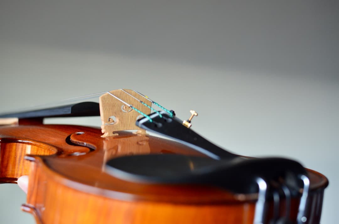 【最上位 新品】Gliga Vasile Maestro バイオリン 4/4