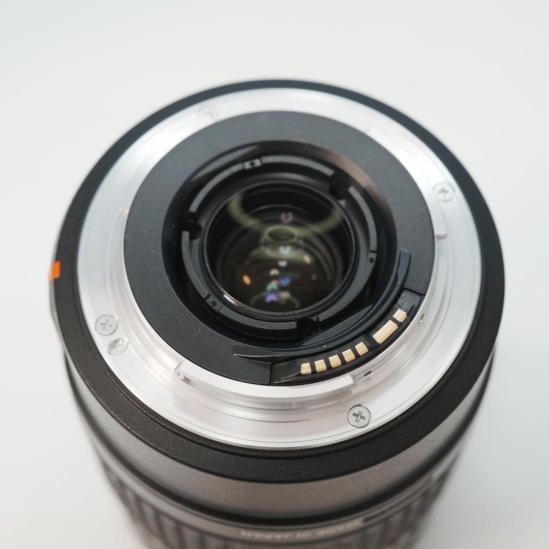 TAMRON Canon 28-300mm 標準+望遠レンズ 極美品 a4794
