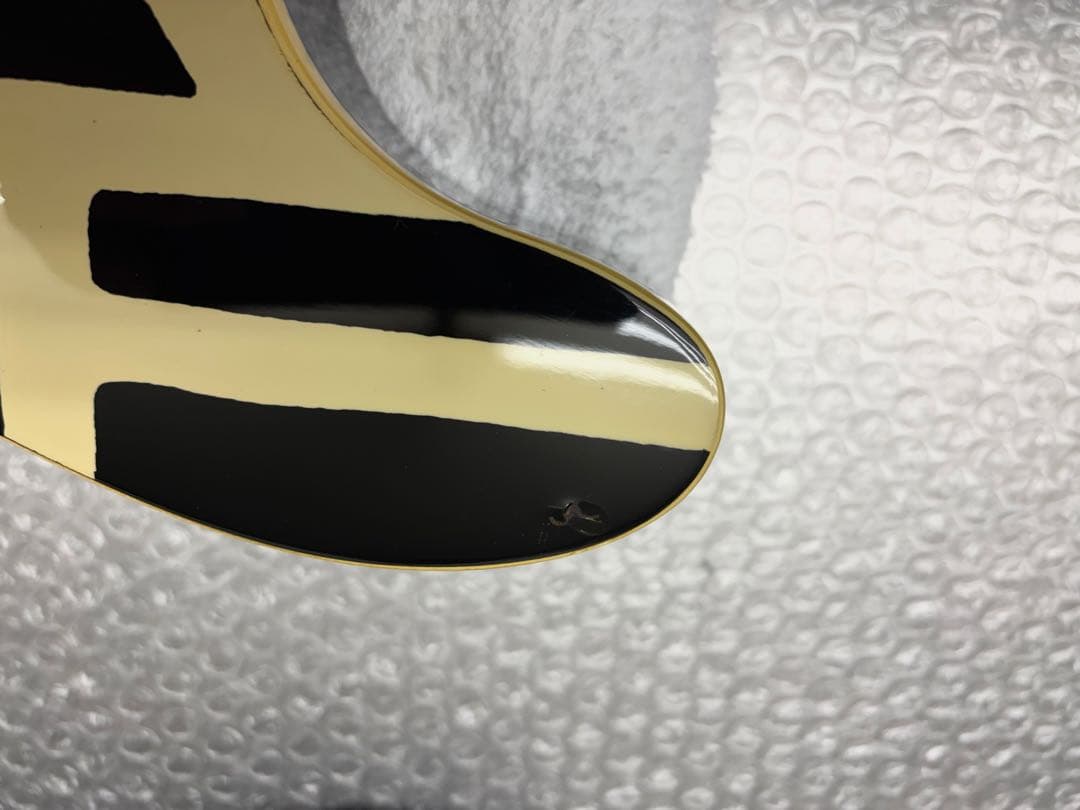 FERNANDES TE-95HT 布袋モデル ソフトケース付き