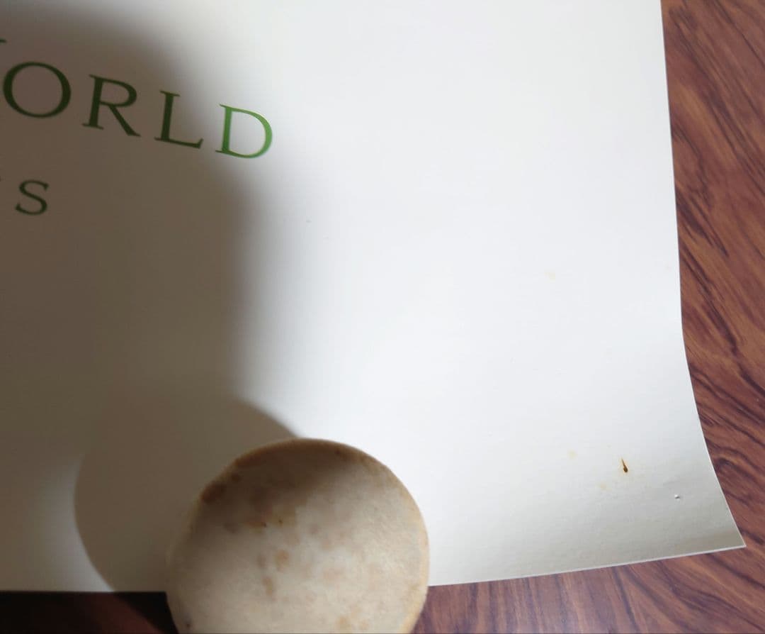 Mr.Children　IT'S A WONDERFUL WORLD　ポスター