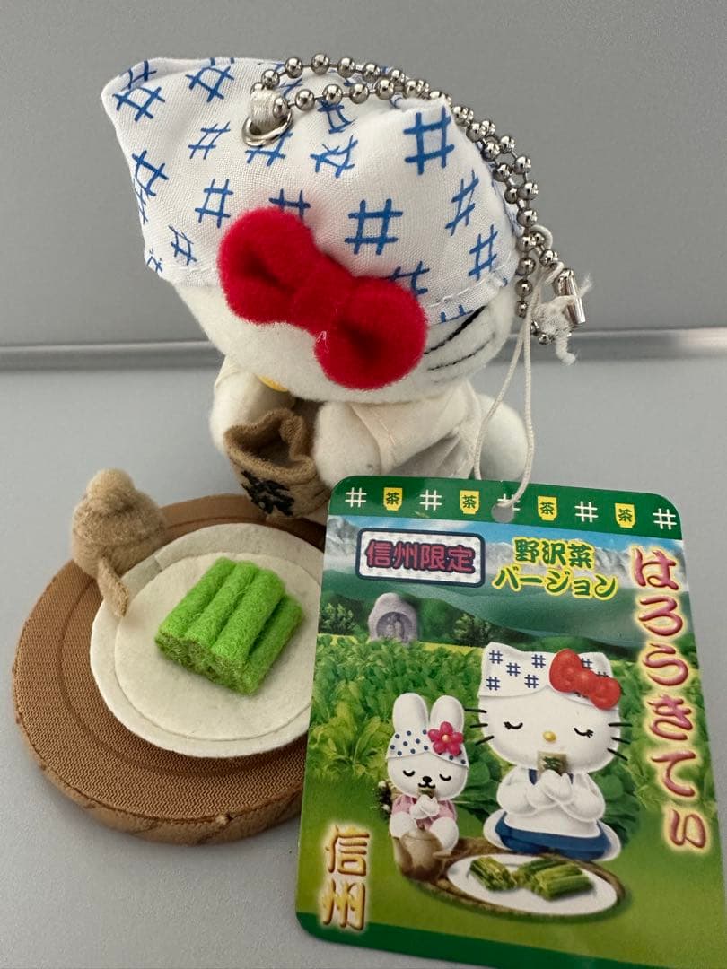 ミク高校入試 超効率 中学社会100+資料30 赤シート付ご当地キティ