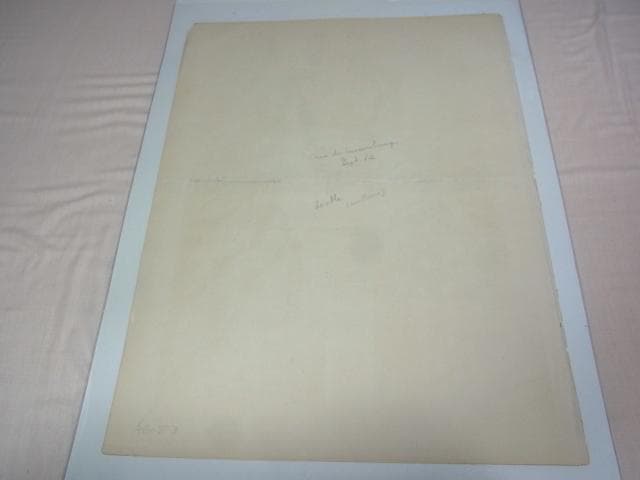 1876年銅版画◆フランス ファッション誌『ラ・モード・イリュストレ』No.25