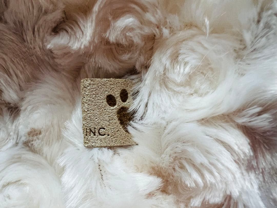 スーザンランシースリング