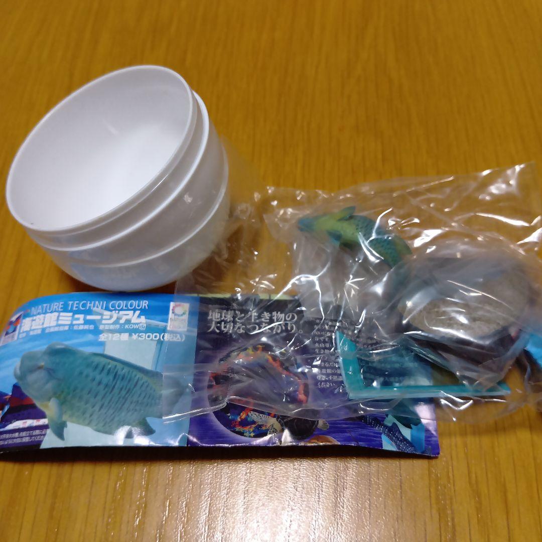 ネイチャーテクニカラー フィギュア 海遊館ミュージアム限定　全12種　新品