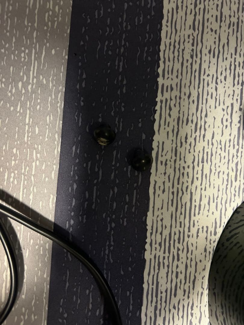 大幅値下げ⭐︎エーハイム濾過機、濾過剤、ada出水パイプ等⭐︎セット販売⭐︎