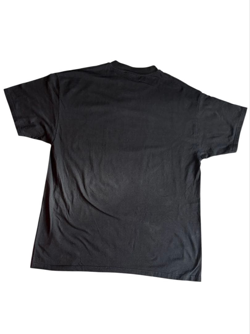 Ranma 1/2 PちゃんTシャツ　ヴィンテージ