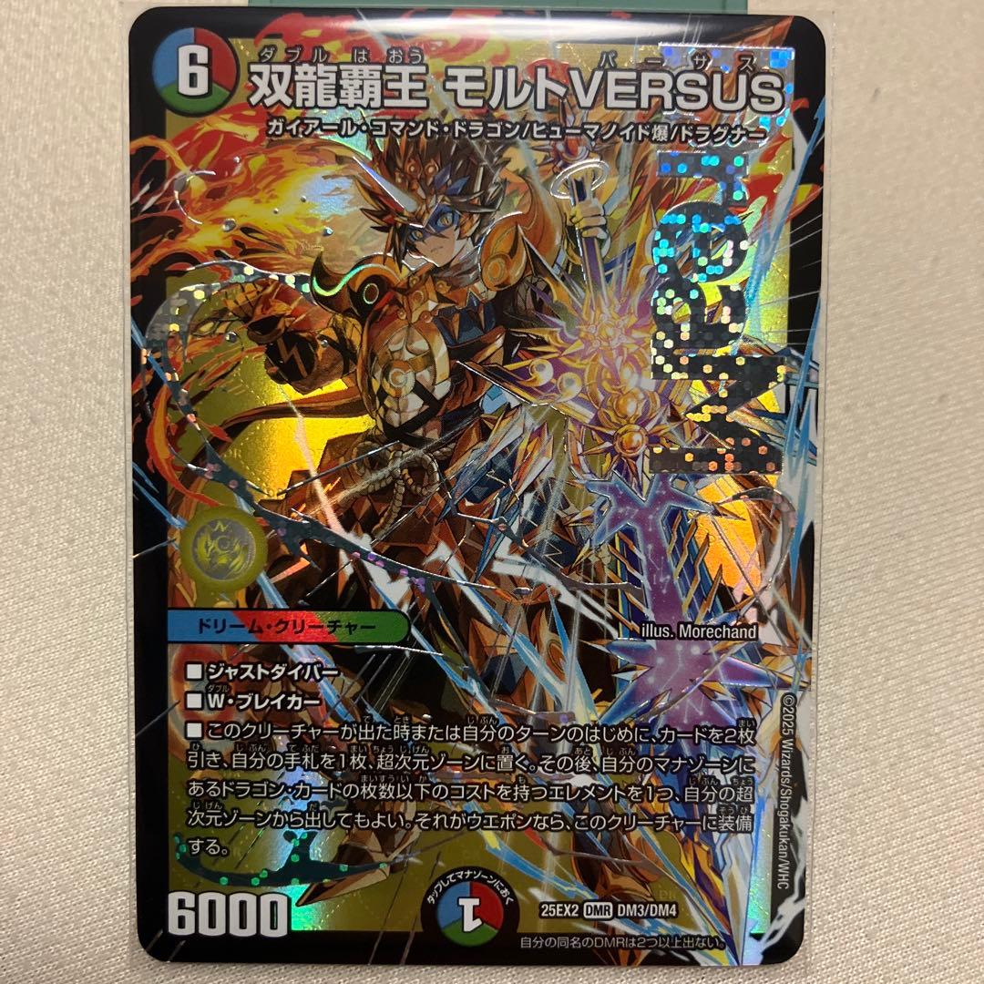 双龍調王 モルト VERSUS