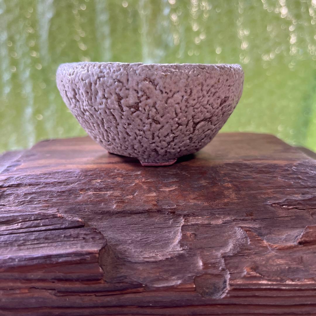 松寿　小品　盆栽鉢　レトロ　5個セット　(A5)