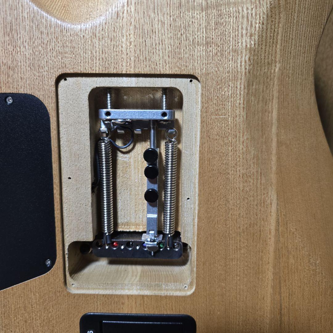 malicalテレキャスター　Charvel Pro Mod So Cal