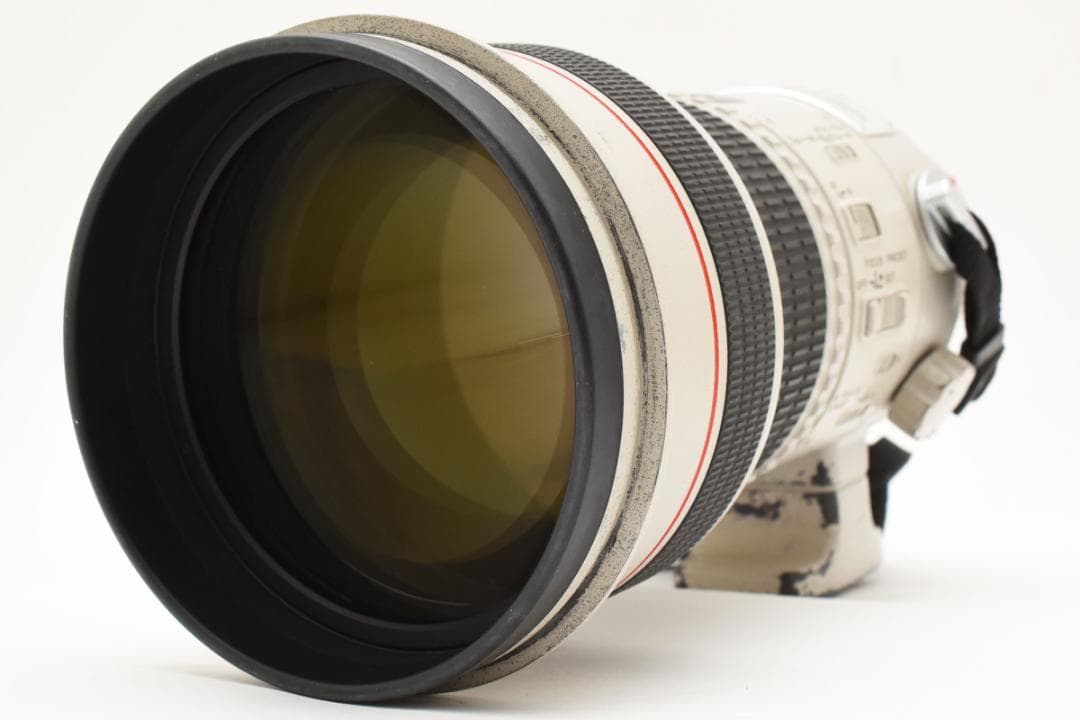 Canon EF 300mm f/2.8 L USM 望遠レンズ #1955
