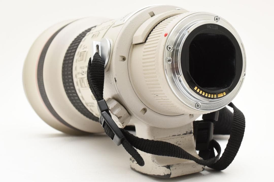 Canon EF 300mm f/2.8 L USM 望遠レンズ #1955
