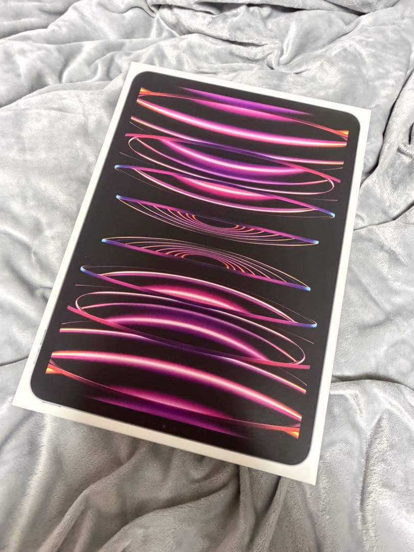 【ジャンク】iPad Pro 11 第4世代 256GB Wi-Fi