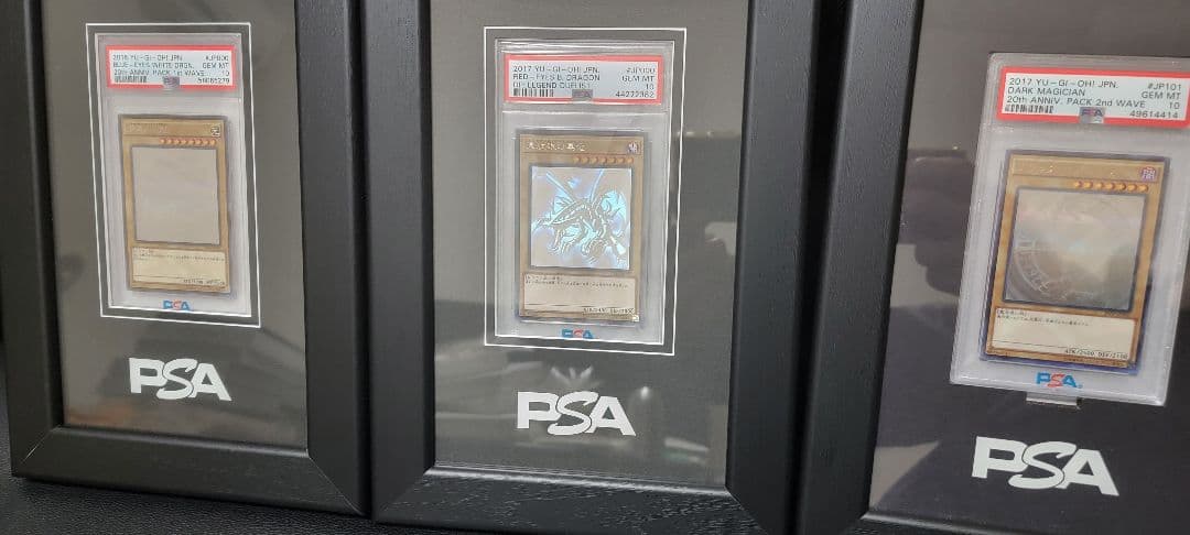遊戯王 PSA 10 御三家　ホログラフィック