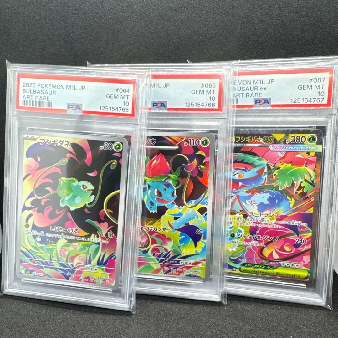 フシギダネ　進化ライン　PSA10 3連番