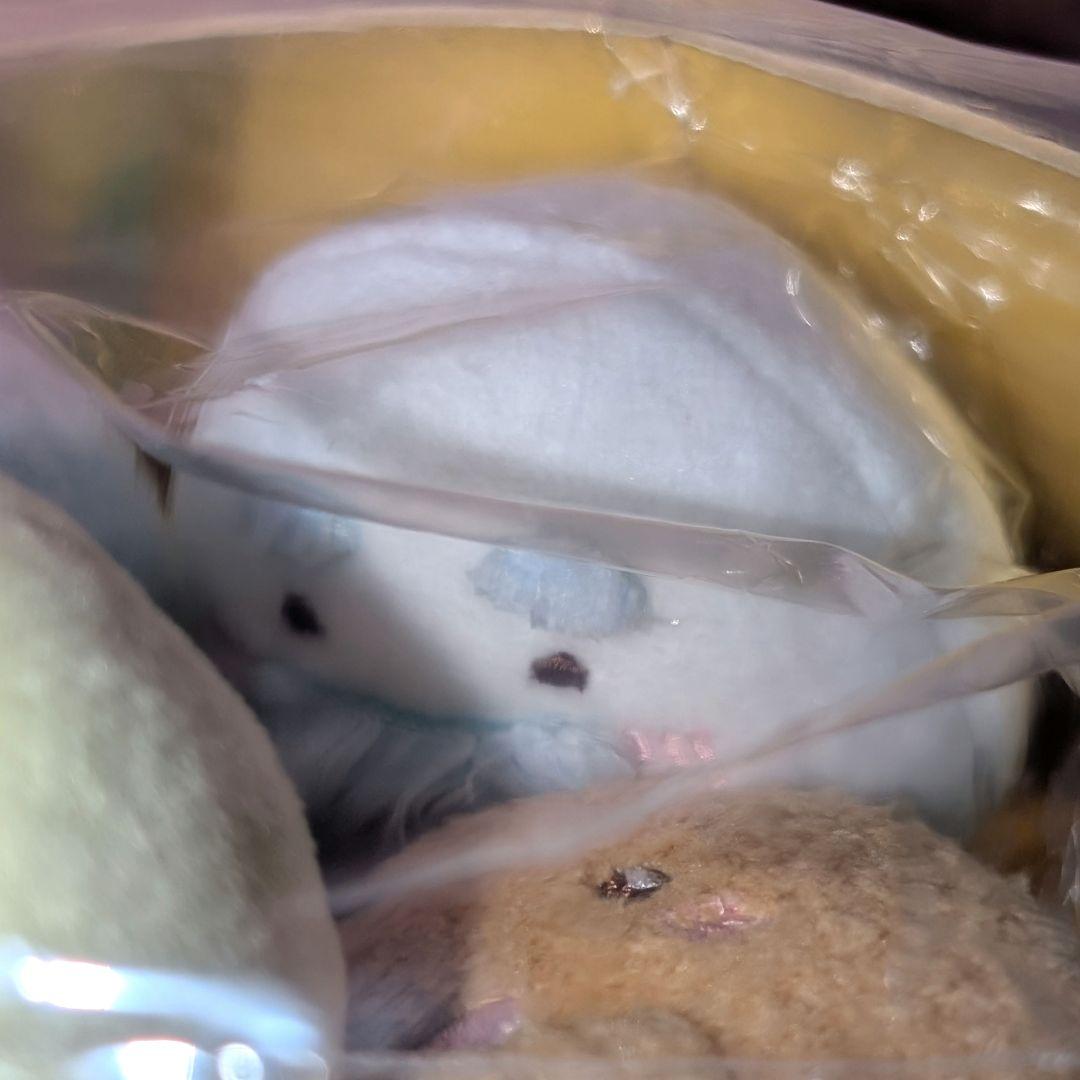 すみっコぐらし 受注 みんなあつまるんですテーマ シーンぬいぐるみ セット