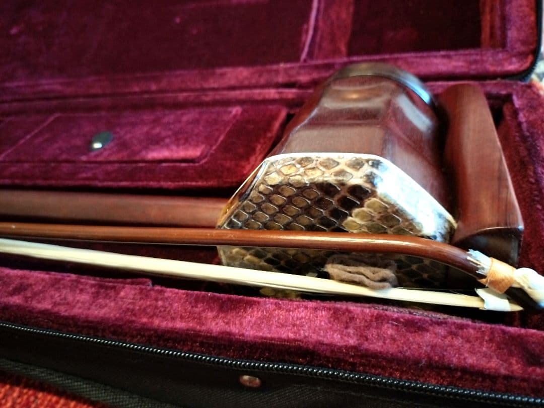 付属品充実！二胡本体と一式 ケース・教本DVD付き