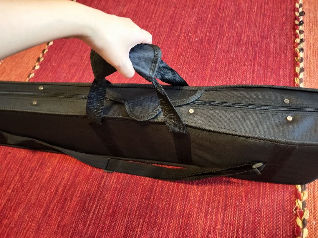 付属品充実！二胡本体と一式 ケース・教本DVD付き