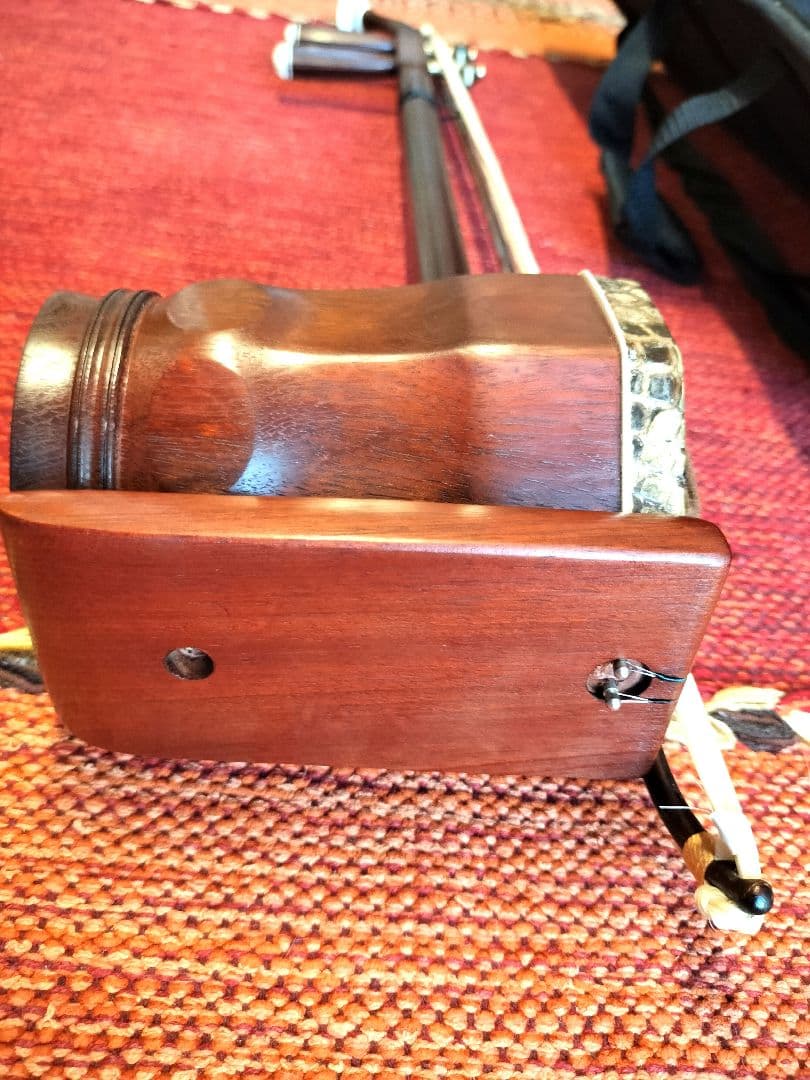 付属品充実！二胡本体と一式 ケース・教本DVD付き