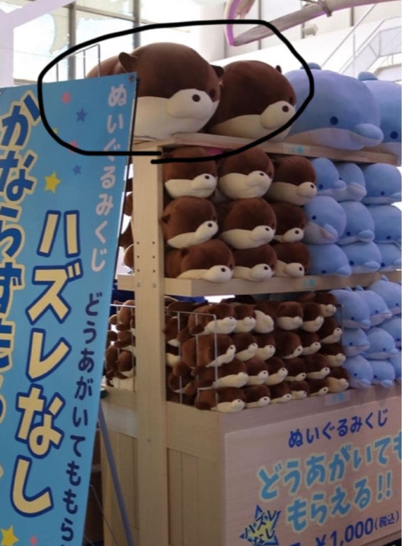水族館　カワウソ　くじ　ぬいぐるみ　特大　1等