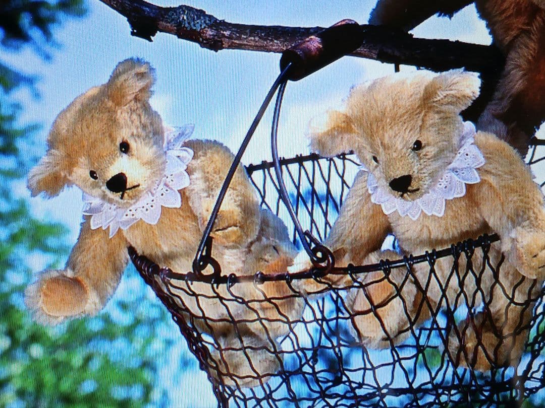 英国ロンドンのAeguithsROSEBUDアスキスローズバッドのビンテージベア