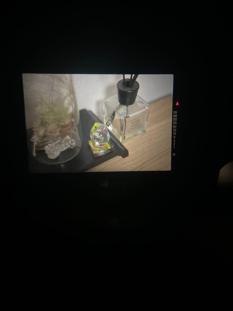 MINOLTA X-500 一眼レフカメラ レンズセット