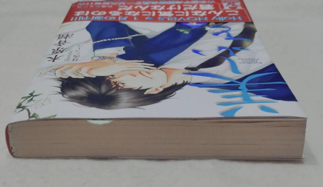 美しいこと続編　愛すること　木原音瀬　中古　美しいこと上下巻　ポストカード付き