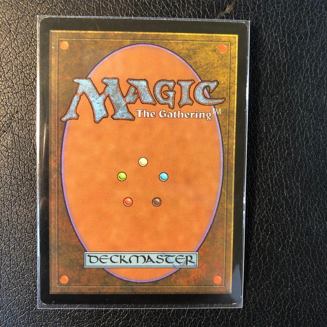 MTG USG セラの聖域 日本語 1枚 ①