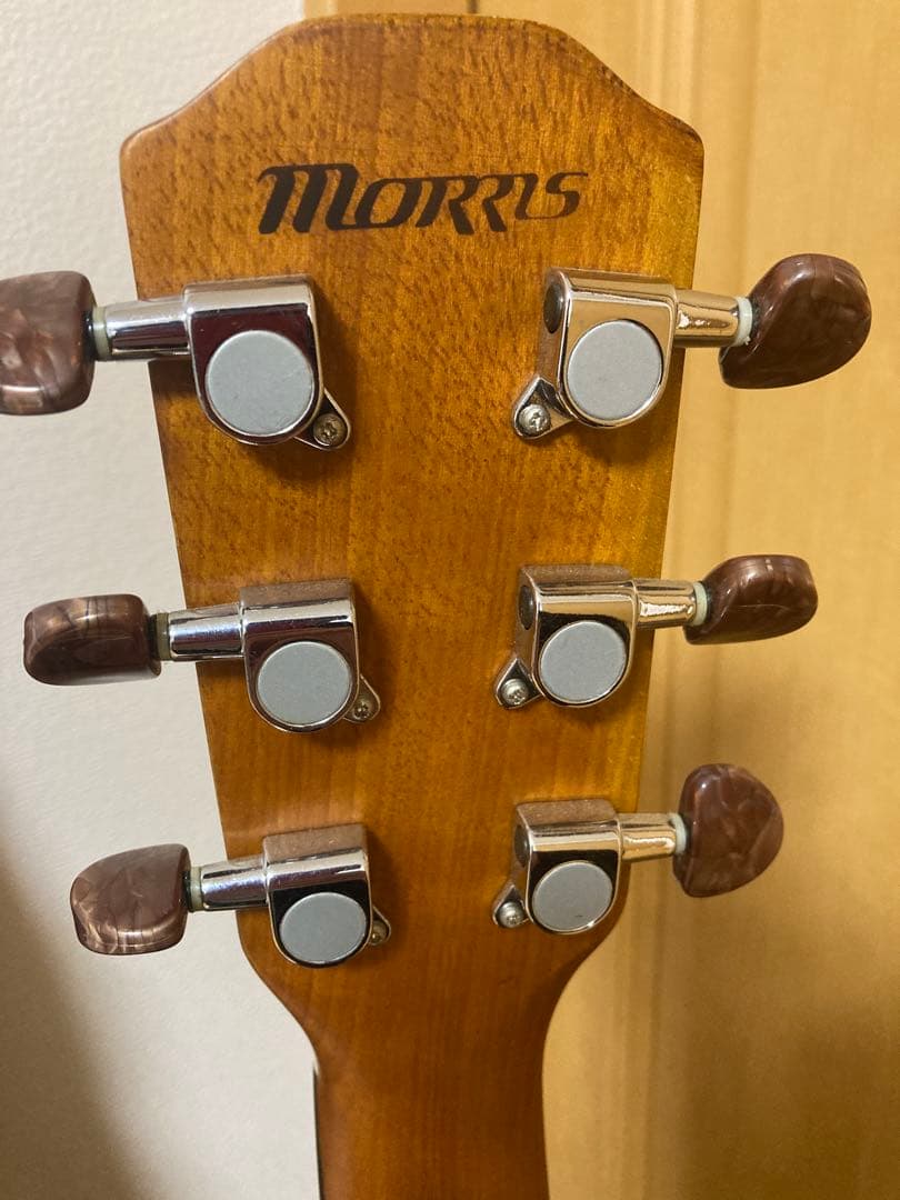 29日までmorris s-40 sシリーズ アコースティックギター　ソロギター