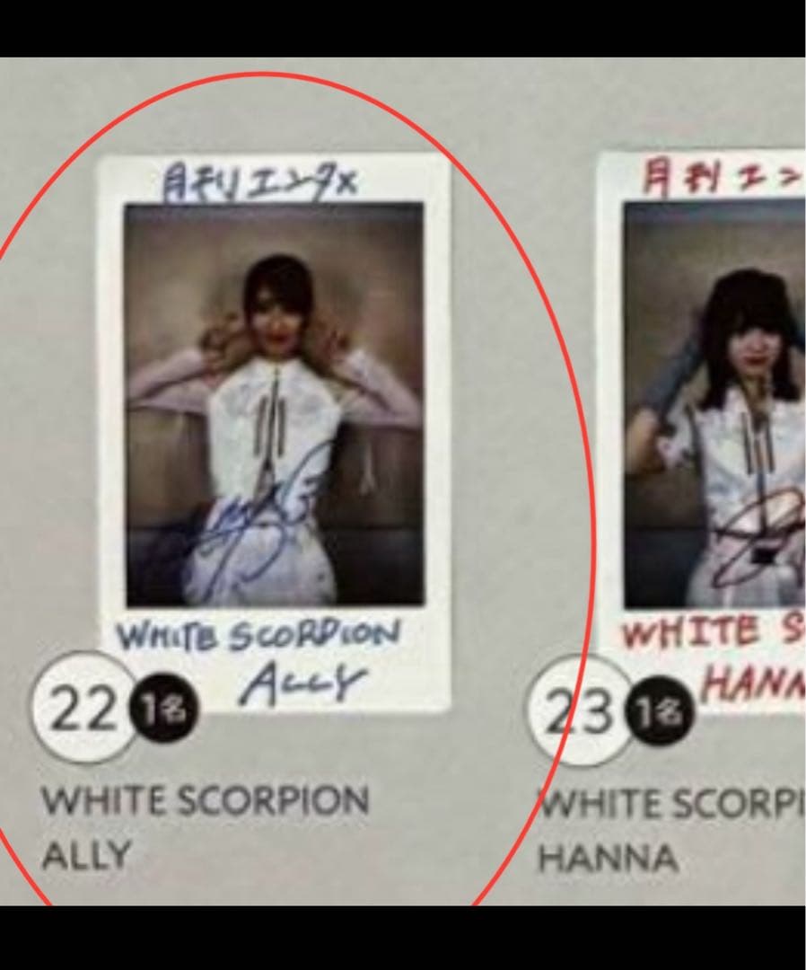 【直筆】 ALLY サイン入 チェキ 月刊エンタメ R6年11月号【当選品】