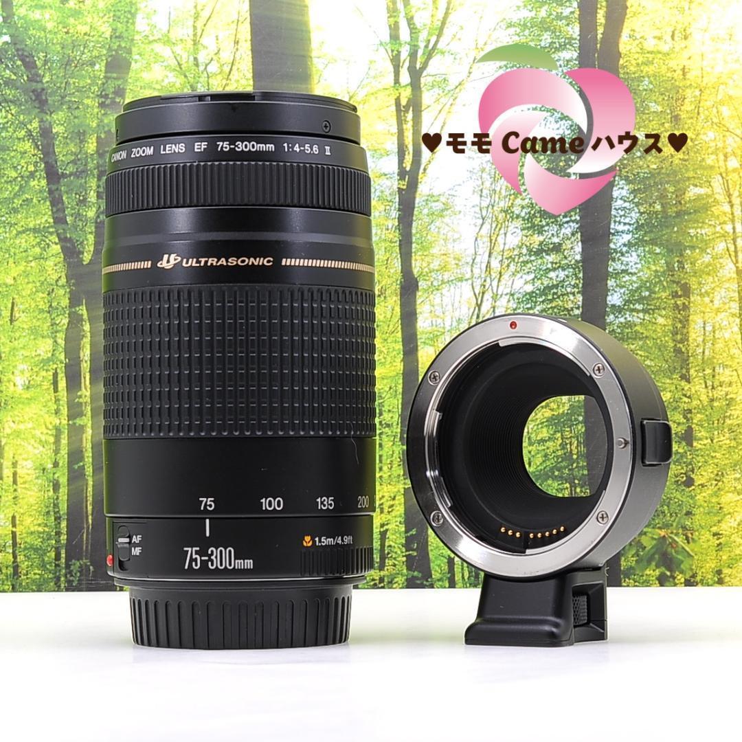 Canon純正マウントアダプターと300mm望遠レンズセット