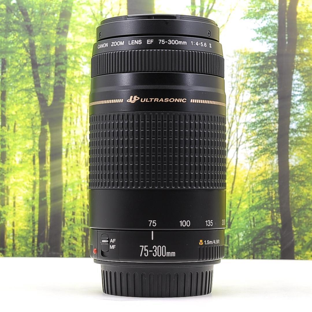 Canon純正マウントアダプターと300mm望遠レンズセット