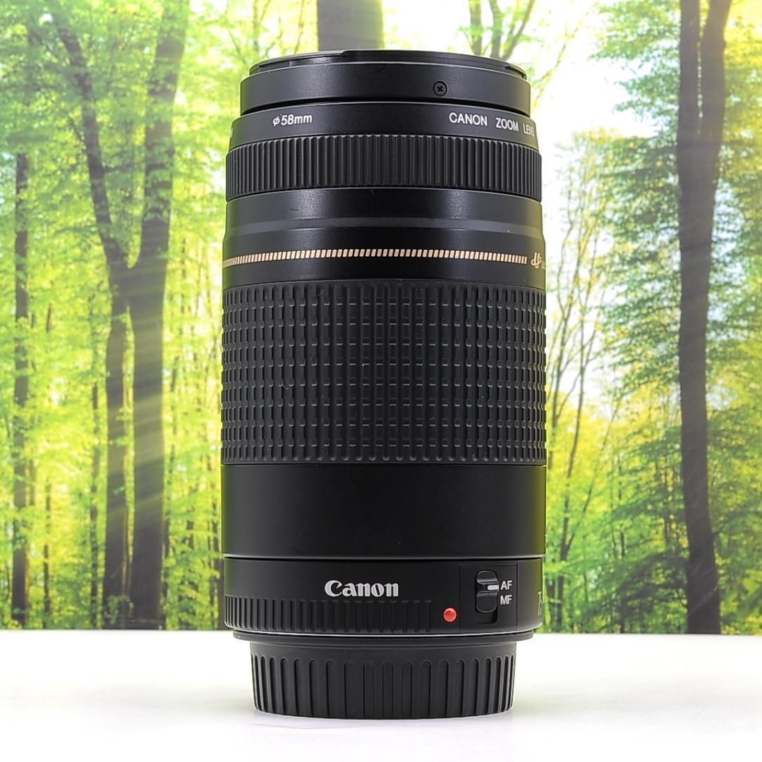 Canon純正マウントアダプターと300mm望遠レンズセット