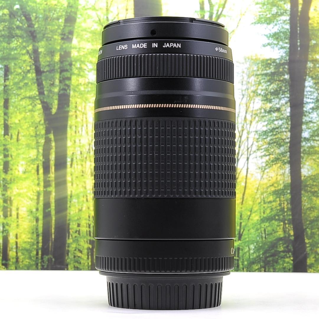 Canon純正マウントアダプターと300mm望遠レンズセット