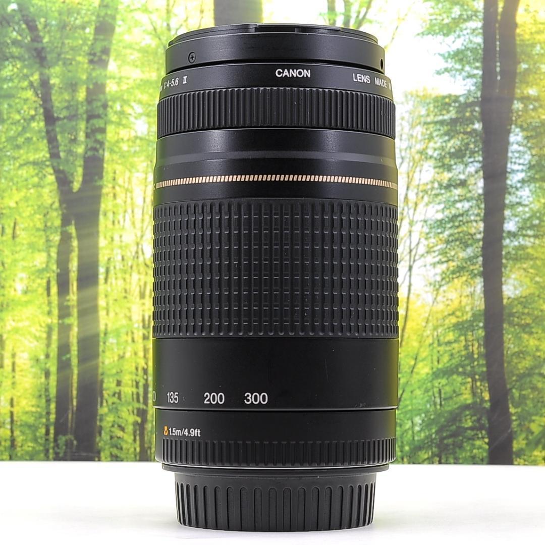 Canon純正マウントアダプターと300mm望遠レンズセット