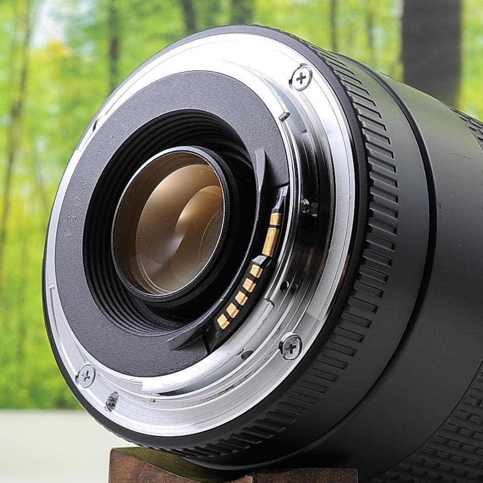 Canon純正マウントアダプターと300mm望遠レンズセット