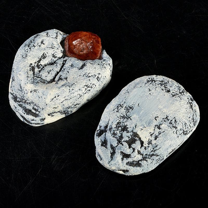 茶道具　乾漆　干柿　香合　時代箱　V　6223