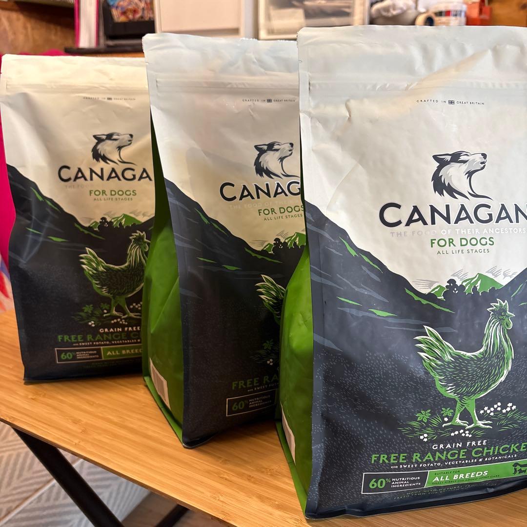 CANAGAN ドッグフード フリーレンジチキン 2kg ✖️3袋