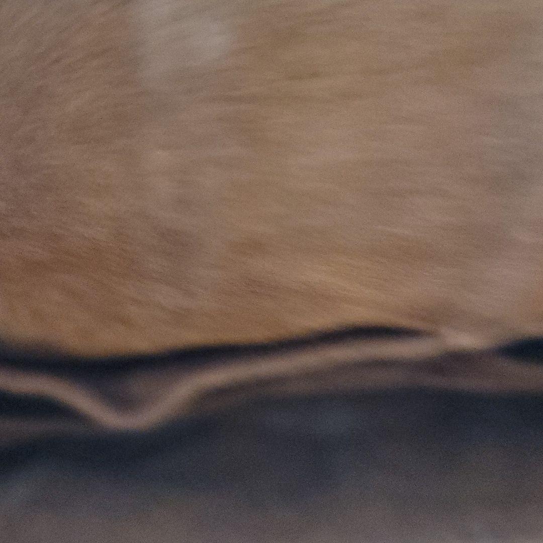 アンティーク/クロコダイル/手付き/小銭入れ/2点