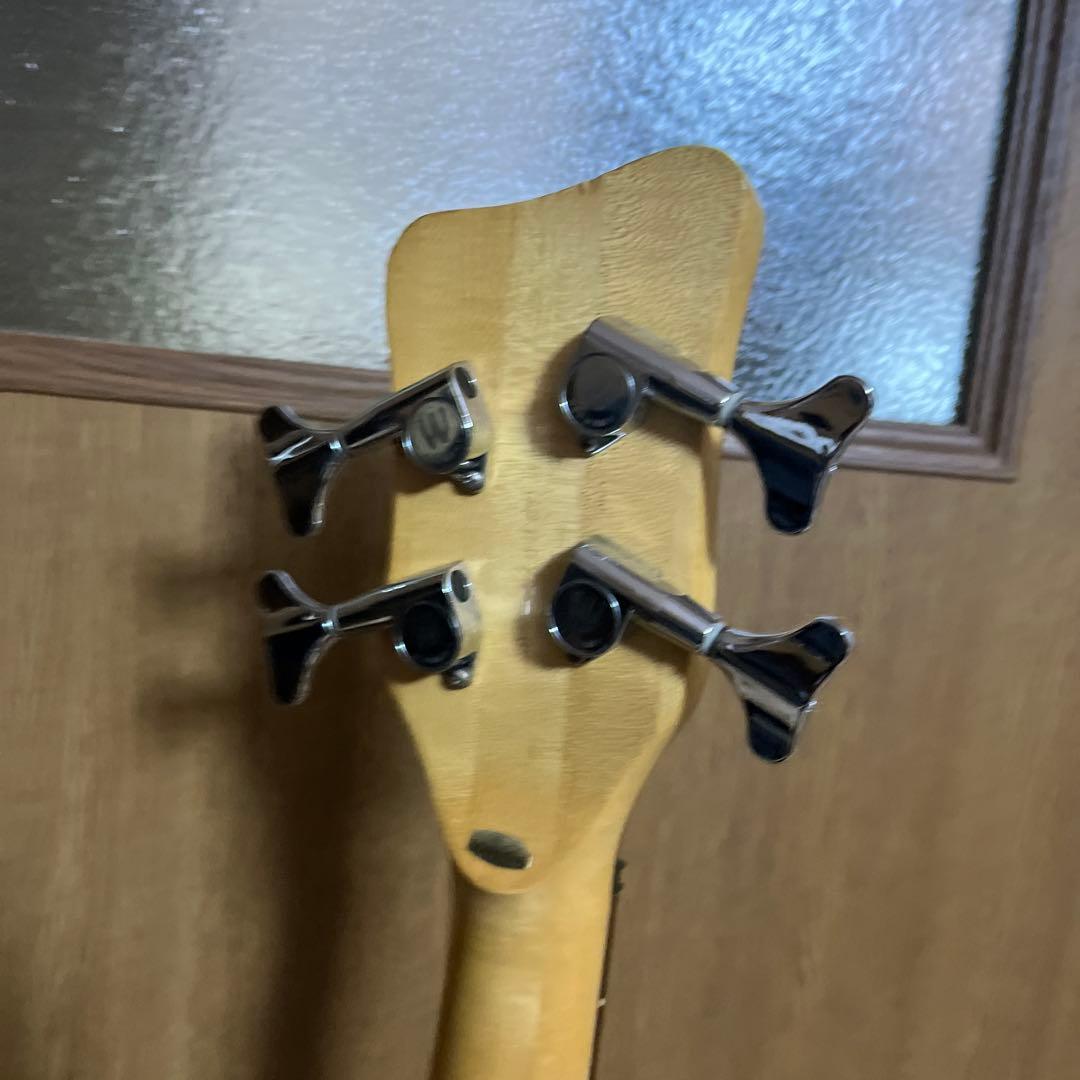 Warwick RockBass Vampyre ベース